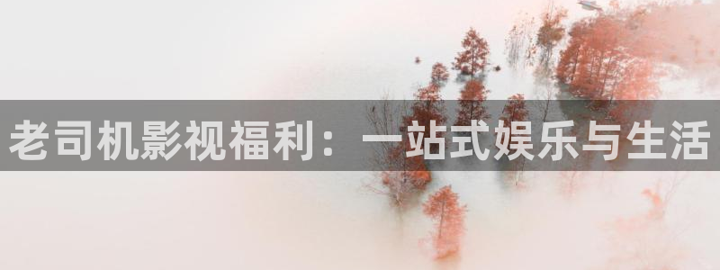 345影院,水蜜桃：老司机影视福利：一站式娱乐与生活