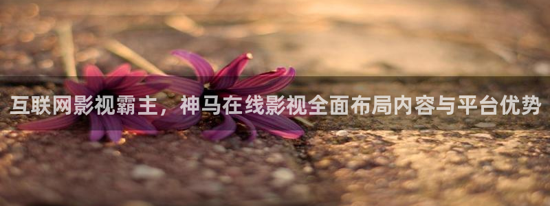 蜜桃精品免费久久久久影院|：互联网影视霸主，神马在线影视全面布局内容与平台优势
